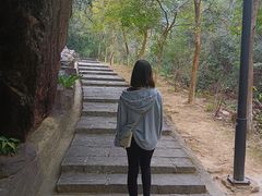 -广州白江湖森林公园