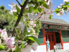 -海棠花溪(元大都城垣遗址公园)