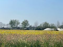 -中国天府农业博览园