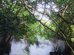 -呀诺达热带雨林
