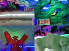 -太阳部落