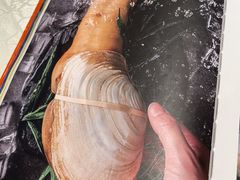 -珍宝海鲜JUMBO Seafood(尚嘉店)