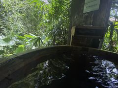-融汇温泉