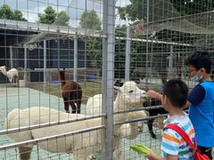 -迪茵湖田家舍生态农场