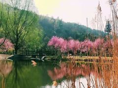 -石塘人家