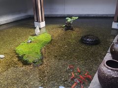 -几荷·恰似故人来(秀水广场店)