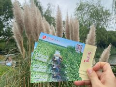 -沙家浜风景区