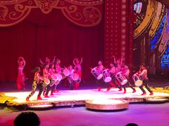 -珠海横琴长隆《卡卡虎奇遇记》