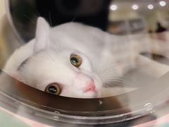 -美联众合动物医院·24h京西诊疗中心