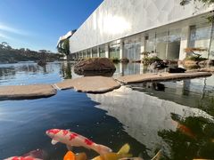 -罗红摄影艺术馆