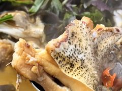 -花卉鱼庄(嘉园文景苑店)