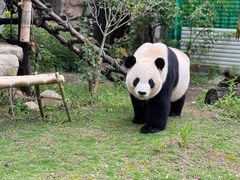 -灵玲国际马戏城