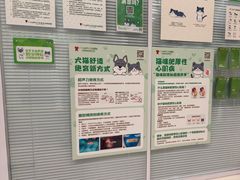 -悦宠凯宝动物医院·牙科·皮肤科(朝阳北路店)