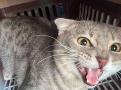 -联合动物医院(光谷诊疗中心)