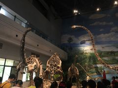 -自贡恐龙博物馆