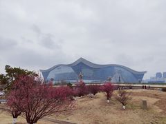 -桂溪生态公园