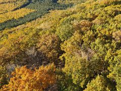 -帽儿山国家森林公园