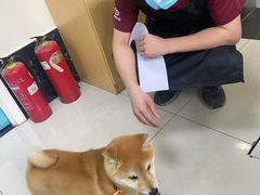 -美联众合爱康动物医院•复杂内科•肿瘤科•牙科•腔镜诊疗中心