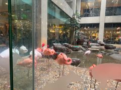 -白虎自助餐厅·真老虎·景观自助餐厅(广州长隆酒店)