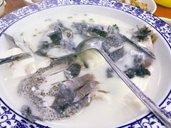 -全乐鱼馆·淳牌有机鱼直营店