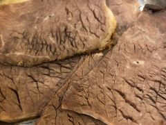 秘制牛肉-有礼有面(知春路店)