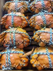 -大喜成国际宴会中心(金华店)