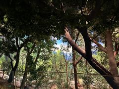 -浙江自然博物院(杭州馆)