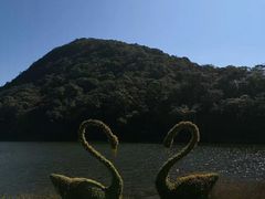 -广州市石门国家森林公园