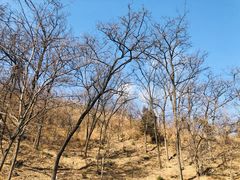 -鬼笑石后山停车场
