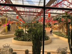 -南宫五洲植物乐园