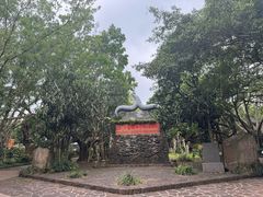 -海口火山口国家地质公园