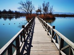 -野鸭湖国家湿地公园