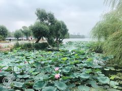 -长春市南湖公园