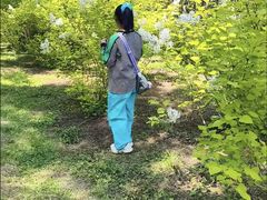 -黑龙江省森林植物园