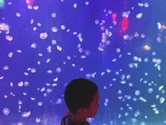 -太平洋海底世界