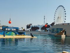 -秦皇岛乐岛海洋王国