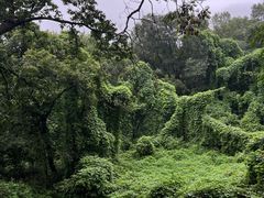 -南京市江宁方山