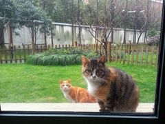 -AGORA SPACE国际联合办公空间(番南小区店)