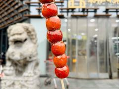 -和禄德冰糖葫芦