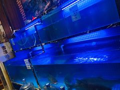 -姜君·千岛湖鱼头馆(浦东大道店)