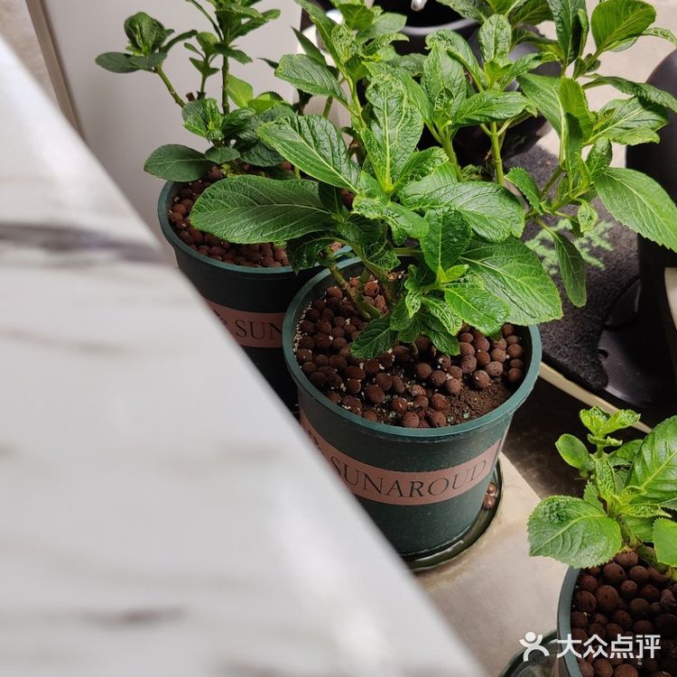 南宁探店 | 藏在巷子深处的宝藏轻食店