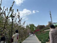 -元大都城垣遗址公园