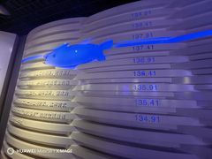 -白鹤梁水下博物馆