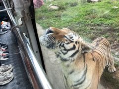 -西安秦岭野生动物园