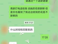 -沙漠玫瑰花艺