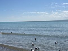 -青海湖国家重点风景名胜区