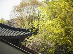 -湘湖金融镇
