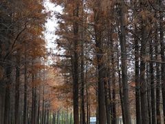 -云龙湖旅游景区