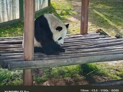 -栾川竹海野生动物园