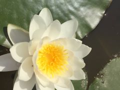 景点-武清南湖绿博园